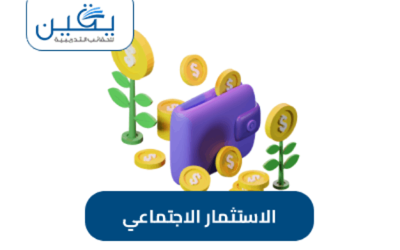 حقيبة الاستثمار الاجتماعي